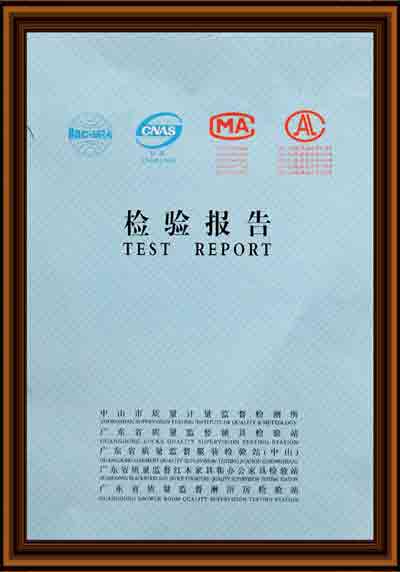 漆強(qiáng)檢驗報告